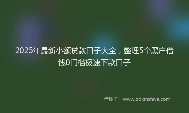 2025年最新小额贷款口子大全，整理5个黑户借钱0门槛极速下款口子