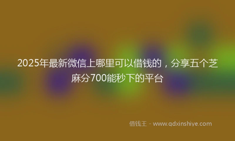 2025年最新微信上哪里可以借钱的，分享五个芝麻分700能秒下的平台