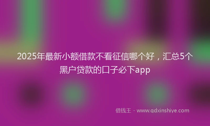 2025年最新小额借款不看征信哪个好，汇总5个黑户贷款的口子必下app