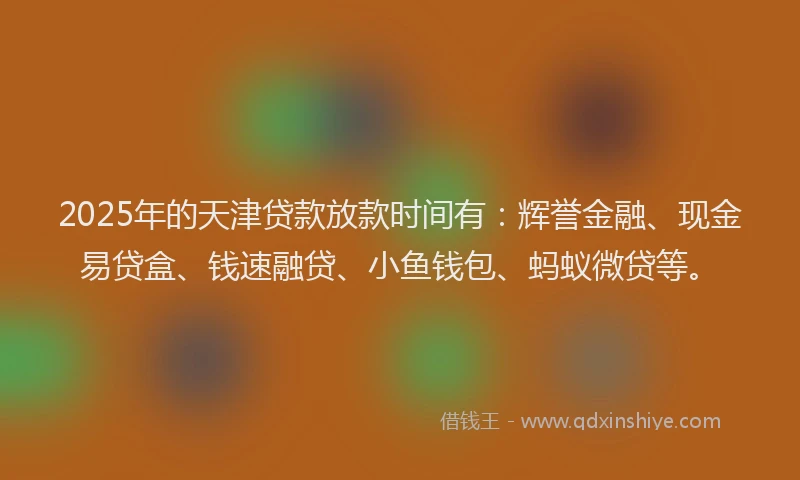 2025年的天津贷款放款时间有：辉誉金融、现金易贷盒、钱速融贷、小鱼钱包、蚂蚁微贷等。