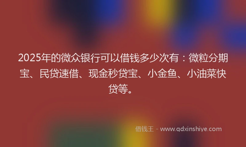 2025年的微众银行可以借钱多少次有：微粒分期宝、民贷速借、现金秒贷宝、小金鱼、小油菜快贷等。