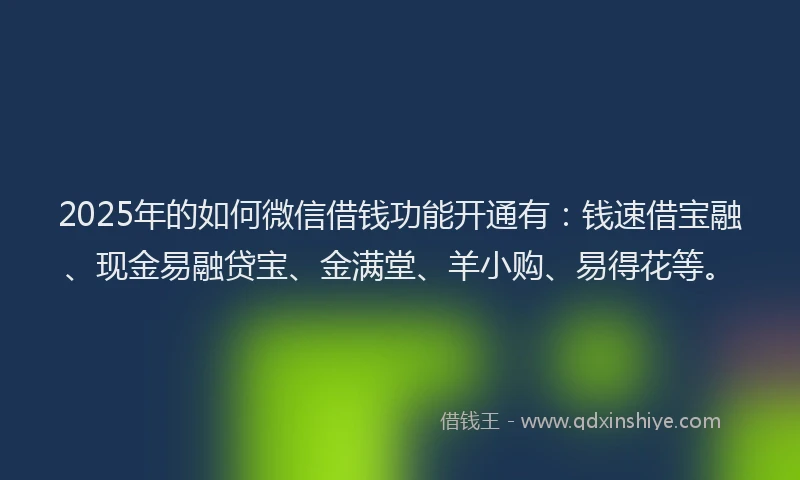 2025年的如何微信借钱功能开通有：钱速借宝融、现金易融贷宝、金满堂、羊小购、易得花等。