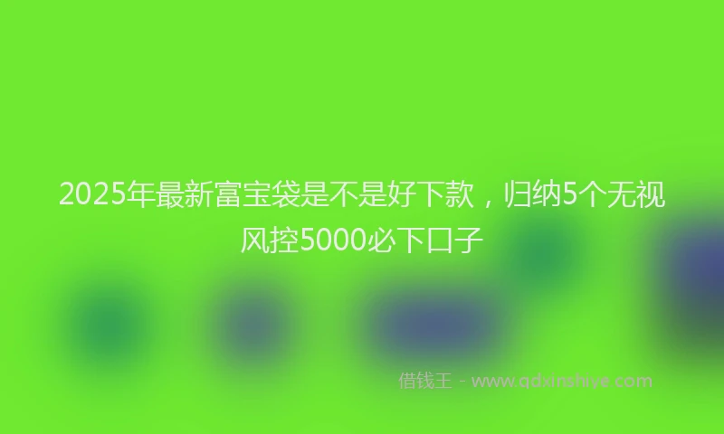 2025年最新富宝袋是不是好下款，归纳5个无视风控5000必下口子