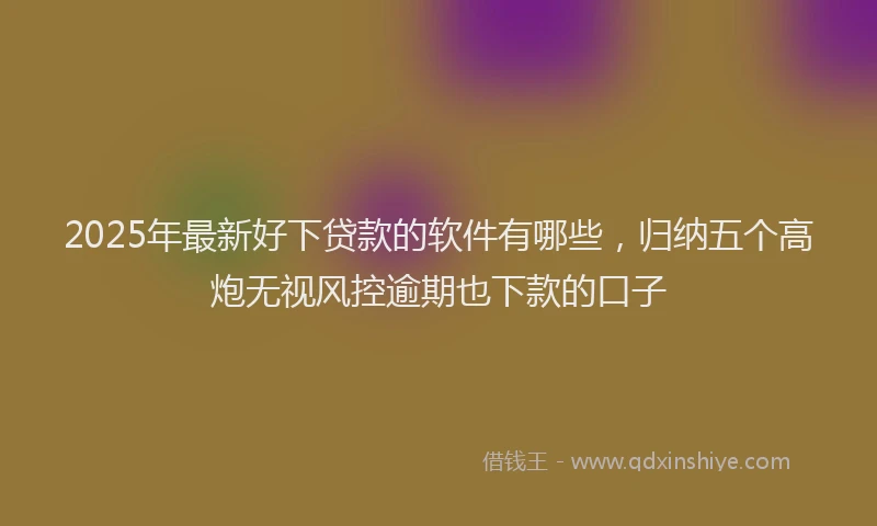 2025年最新好下贷款的软件有哪些，归纳五个高炮无视风控逾期也下款的口子