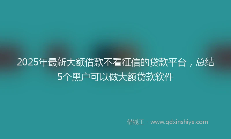 2025年最新大额借款不看征信的贷款平台，总结5个黑户可以做大额贷款软件