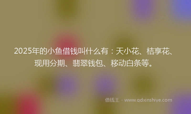 2025年的小鱼借钱叫什么有：天小花、桔享花、现用分期、翡翠钱包、移动白条等。