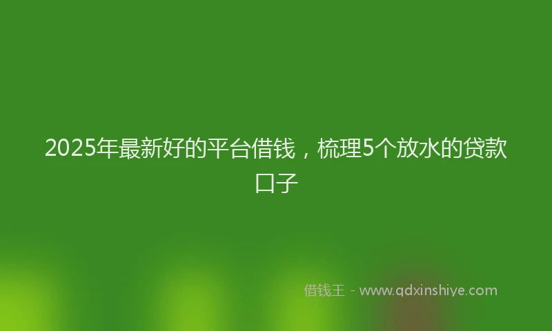 2025年最新好的平台借钱，梳理5个放水的贷款口子