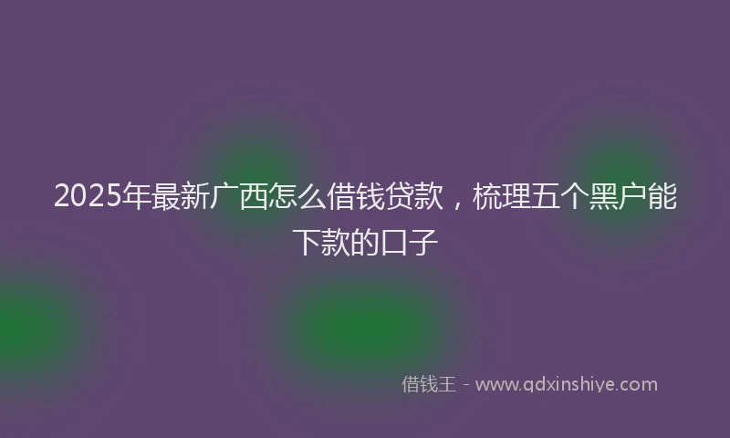 2025年最新广西怎么借钱贷款，梳理五个黑户能下款的口子