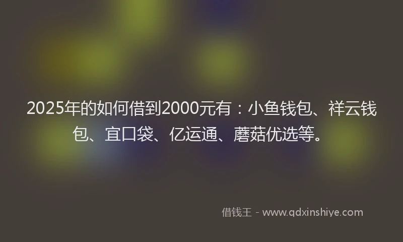 2025年的如何借到2000元有：小鱼钱包、祥云钱包、宜口袋、亿运通、蘑菇优选等。
