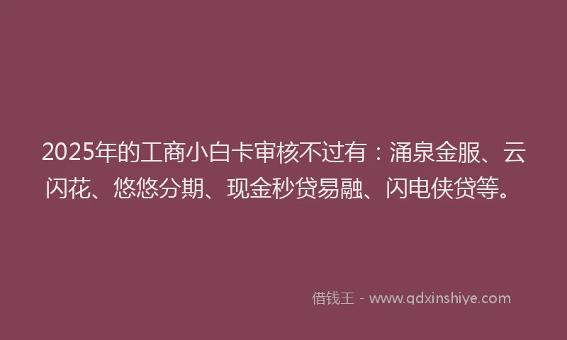 2025年的工商小白卡审核不过有：涌泉金服、云闪花、悠悠分期、现金秒贷易融、闪电侠贷等。