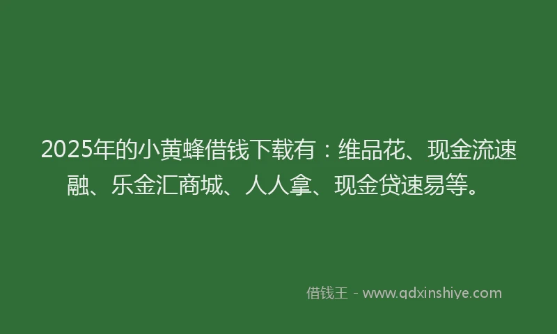 2025年的小黄蜂借钱下载有：维品花、现金流速融、乐金汇商城、人人拿、现金贷速易等。