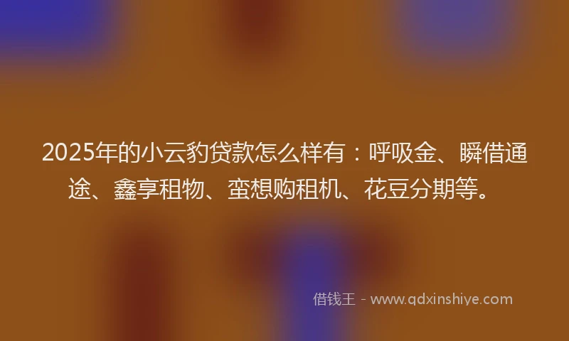 2025年的小云豹贷款怎么样有：呼吸金、瞬借通途、鑫享租物、蛮想购租机、花豆分期等。