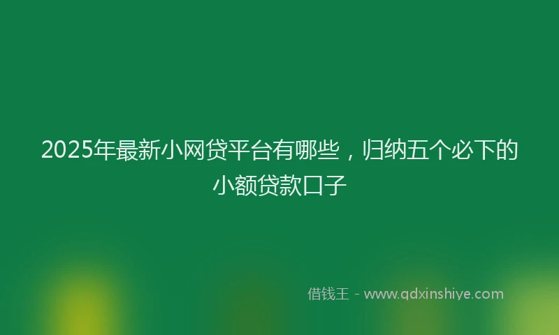 2025年最新小网贷平台有哪些，归纳五个必下的小额贷款口子