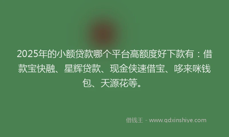 2025年的小额贷款哪个平台高额度好下款有：借款宝快融、星辉贷款、现金侠速借宝、哆来咪钱包、天源花等。