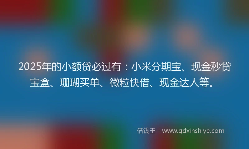 2025年的小额贷必过有：小米分期宝、现金秒贷宝盒、珊瑚买单、微粒快借、现金达人等。