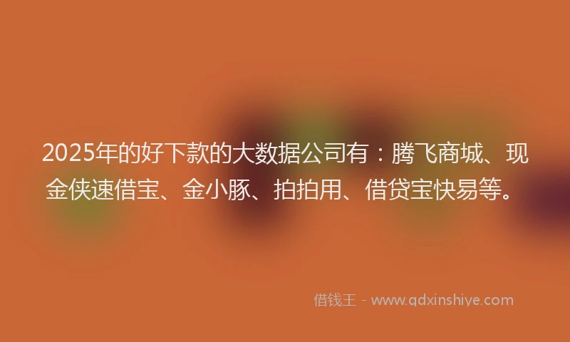 2025年的好下款的大数据公司有：腾飞商城、现金侠速借宝、金小豚、拍拍用、借贷宝快易等。
