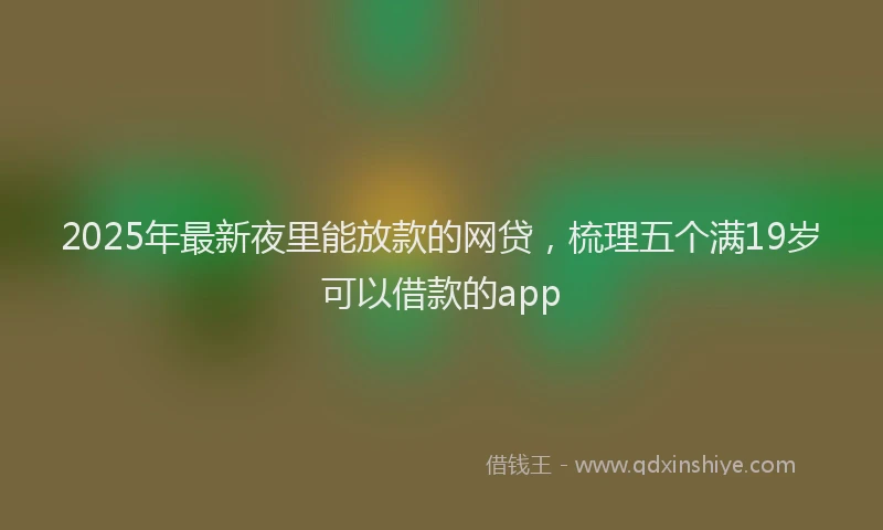 2025年最新夜里能放款的网贷，梳理五个满19岁可以借款的app