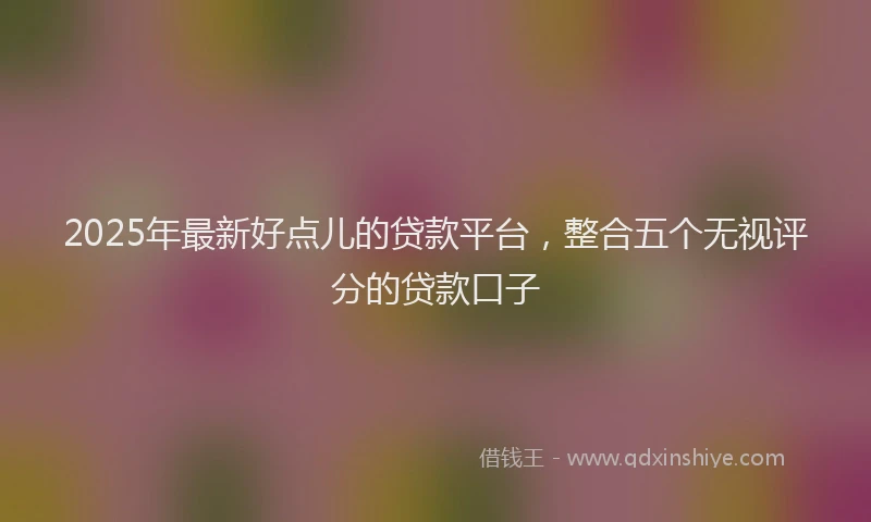 2025年最新好点儿的贷款平台，整合五个无视评分的贷款口子