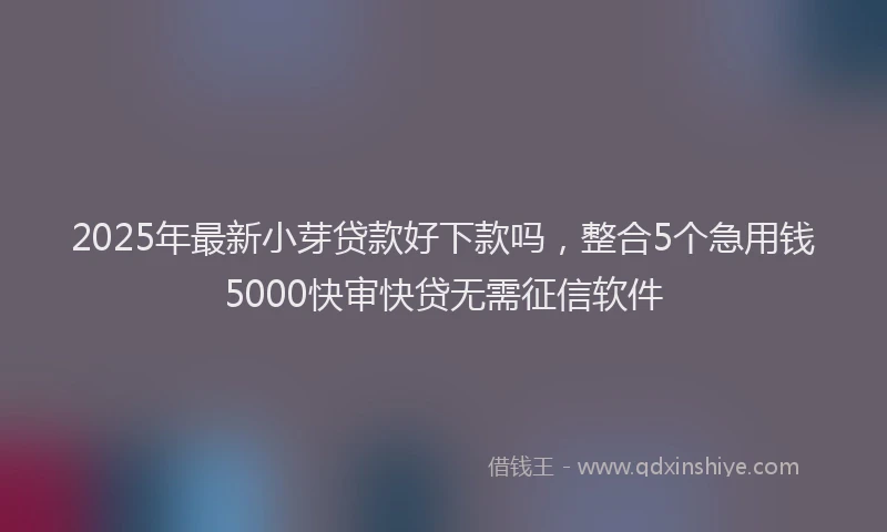 2025年最新小芽贷款好下款吗，整合5个急用钱5000快审快贷无需征信软件