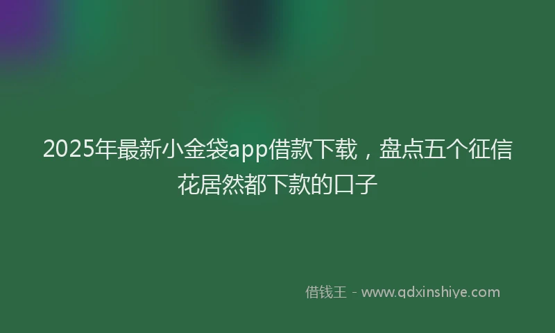 2025年最新小金袋app借款下载，盘点五个征信花居然都下款的口子