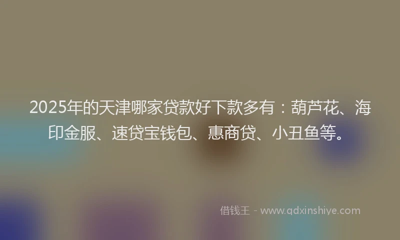 2025年的天津哪家贷款好下款多有：葫芦花、海印金服、速贷宝钱包、惠商贷、小丑鱼等。