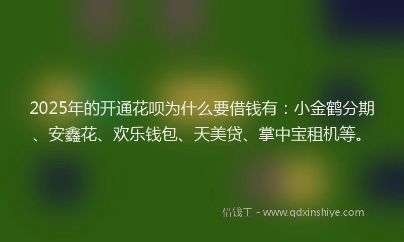 2025年的开通花呗为什么要借钱有：小金鹤分期、安鑫花、欢乐钱包、天美贷、掌中宝租机等。