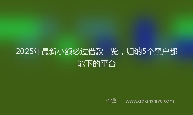 2025年最新小额必过借款一览，归纳5个黑户都能下的平台
