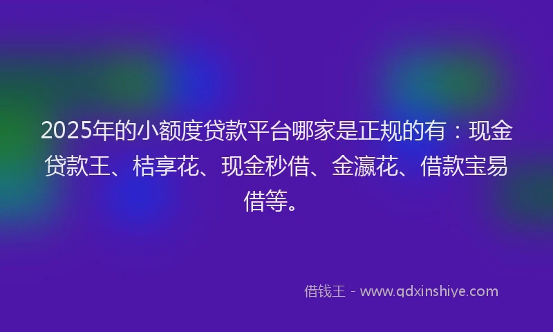 2025年的小额度贷款平台哪家是正规的有：现金贷款王、桔享花、现金秒借、金瀛花、借款宝易借等。