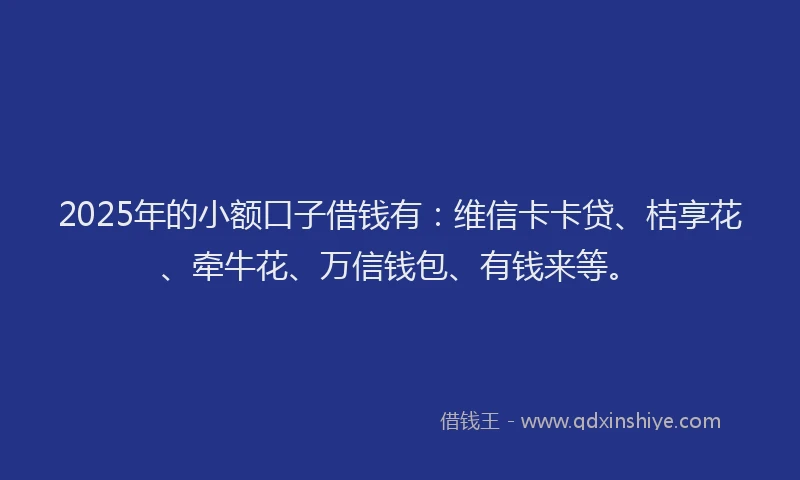 2025年的小额口子借钱有：维信卡卡贷、桔享花、牵牛花、万信钱包、有钱来等。