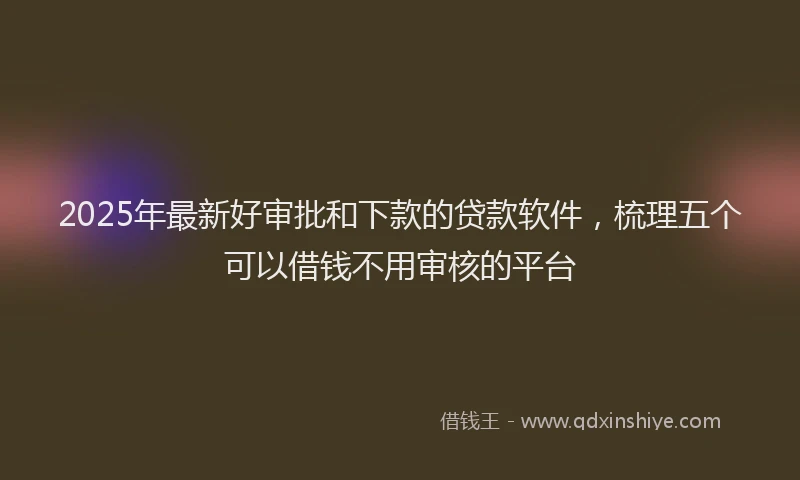 2025年最新好审批和下款的贷款软件，梳理五个可以借钱不用审核的平台
