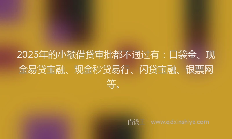 2025年的小额借贷审批都不通过有：口袋金、现金易贷宝融、现金秒贷易行、闪贷宝融、银票网等。