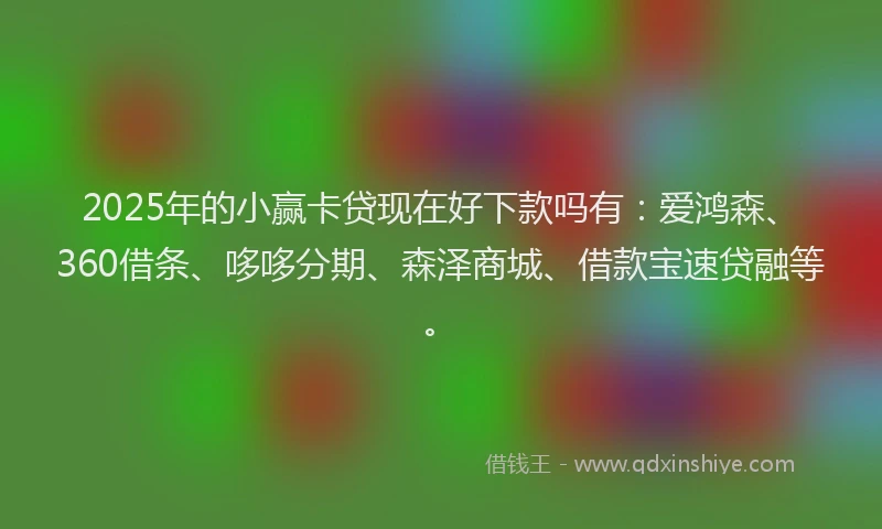2025年的小赢卡贷现在好下款吗有：爱鸿森、360借条、哆哆分期、森泽商城、借款宝速贷融等。