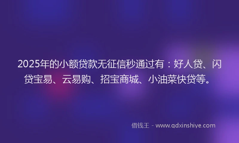 2025年的小额贷款无征信秒通过有：好人贷、闪贷宝易、云易购、招宝商城、小油菜快贷等。