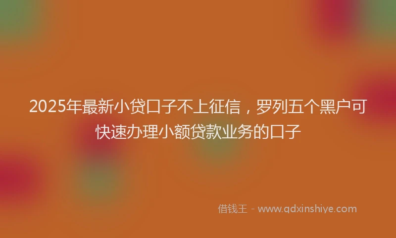 2025年最新小贷口子不上征信，罗列五个黑户可快速办理小额贷款业务的口子