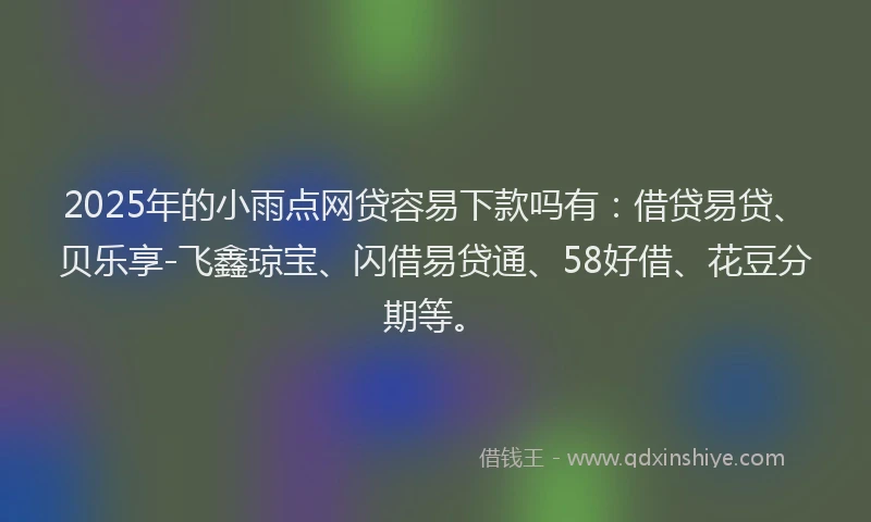 2025年的小雨点网贷容易下款吗有：借贷易贷、贝乐享-飞鑫琼宝、闪借易贷通、58好借、花豆分期等。