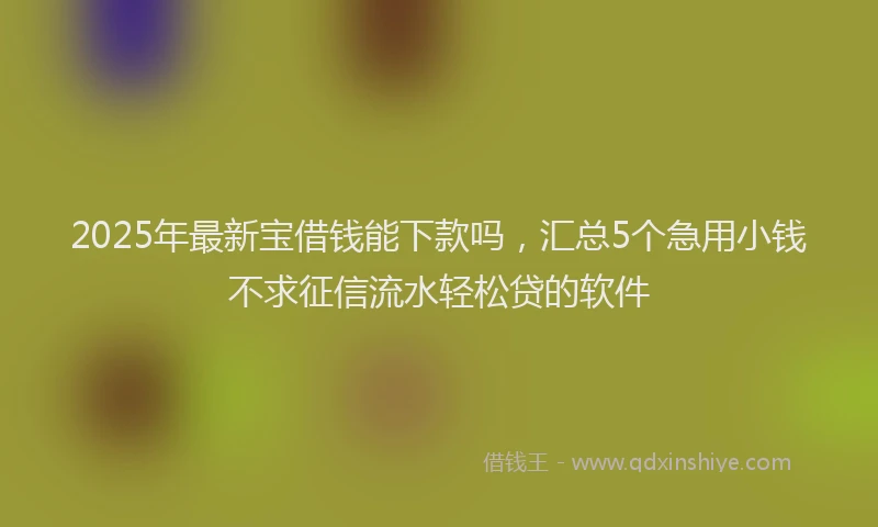 2025年最新宝借钱能下款吗，汇总5个急用小钱不求征信流水轻松贷的软件