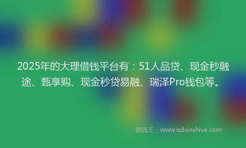 2025年的大理借钱平台有：51人品贷、现金秒融途、甄享购、现金秒贷易融、瑞泽Pro钱包等。
