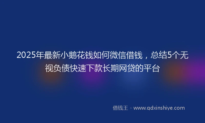 2025年最新小鹅花钱如何微信借钱，总结5个无视负债快速下款长期网贷的平台