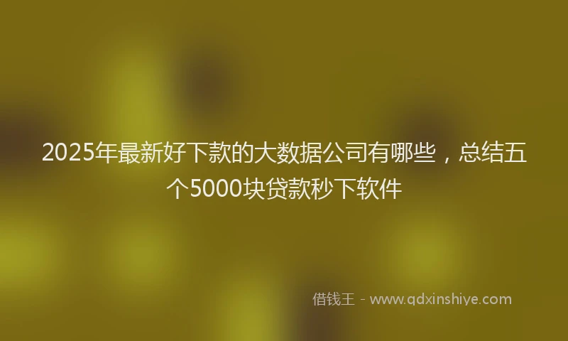 2025年最新好下款的大数据公司有哪些，总结五个5000块贷款秒下软件
