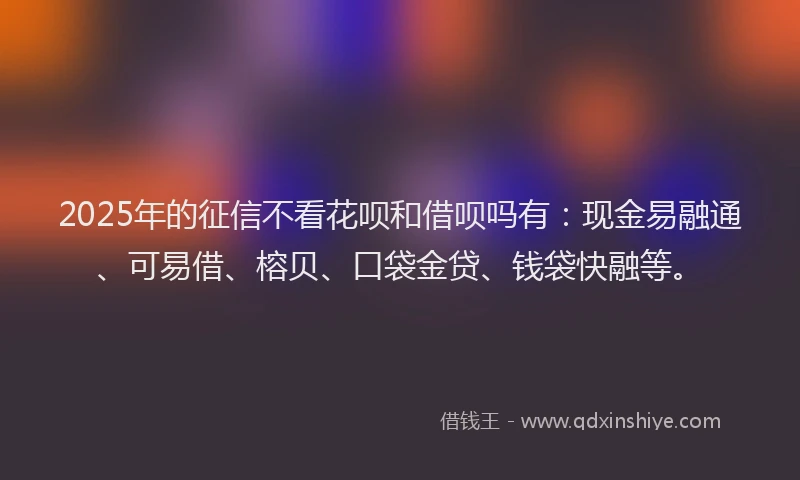 2025年的征信不看花呗和借呗吗有：现金易融通、可易借、榕贝、口袋金贷、钱袋快融等。