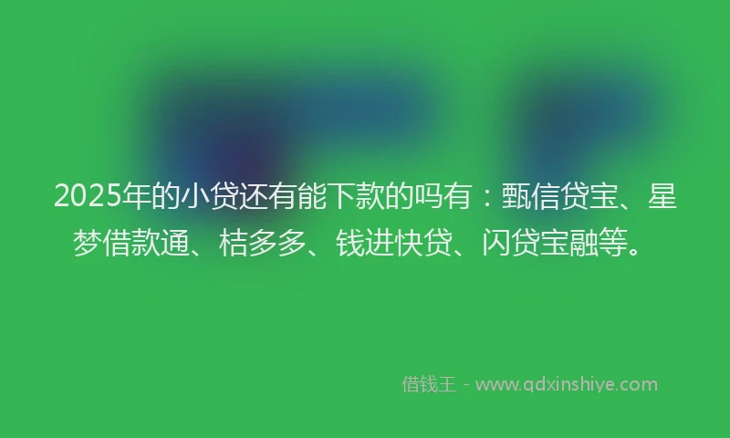 2025年的小贷还有能下款的吗有：甄信贷宝、星梦借款通、桔多多、钱进快贷、闪贷宝融等。
