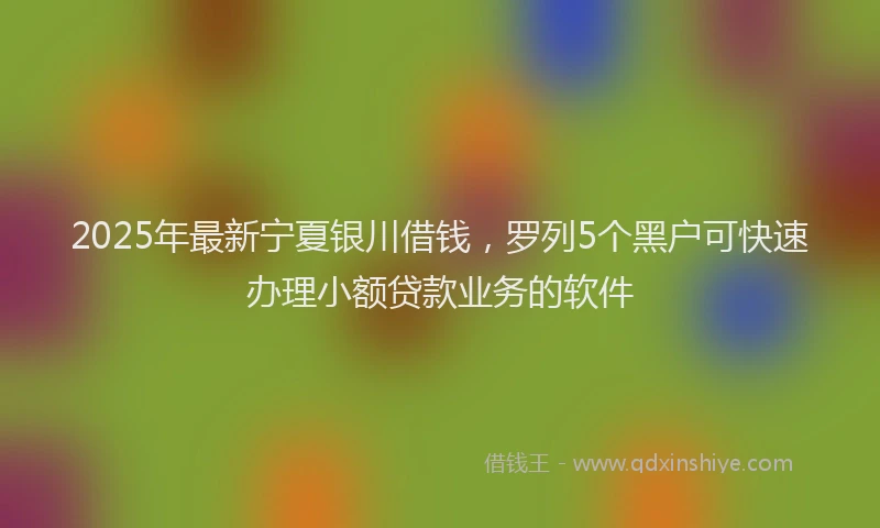 2025年最新宁夏银川借钱，罗列5个黑户可快速办理小额贷款业务的软件