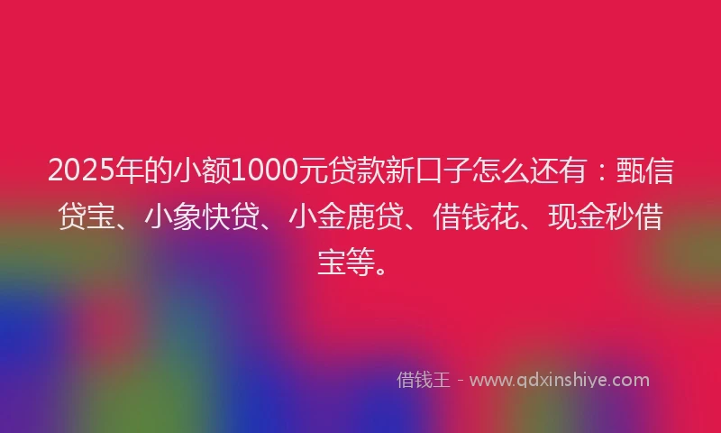 2025年的小额1000元贷款新口子怎么还有：甄信贷宝、小象快贷、小金鹿贷、借钱花、现金秒借宝等。
