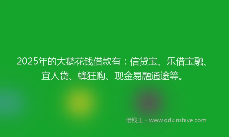 2025年的大鹅花钱借款有：信贷宝、乐借宝融、宜人贷、蜂狂购、现金易融通途等。