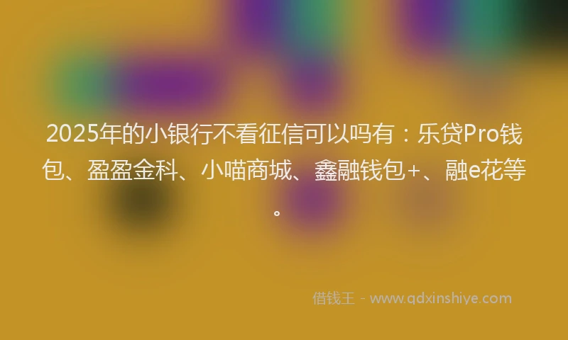 2025年的小银行不看征信可以吗有：乐贷Pro钱包、盈盈金科、小喵商城、鑫融钱包+、融e花等。