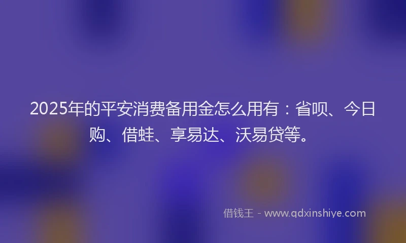 2025年的平安消费备用金怎么用有：省呗、今日购、借蛙、享易达、沃易贷等。