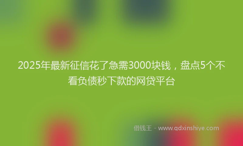 2025年最新征信花了急需3000块钱，盘点5个不看负债秒下款的网贷平台