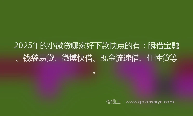 2025年的小微贷哪家好下款快点的有：瞬借宝融、钱袋易贷、微博快借、现金流速借、任性贷等。