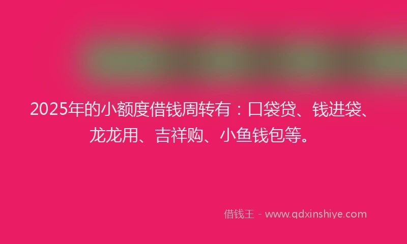 2025年的小额度借钱周转有：口袋贷、钱进袋、龙龙用、吉祥购、小鱼钱包等。