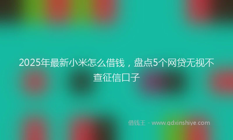 2025年最新小米怎么借钱，盘点5个网贷无视不查征信口子